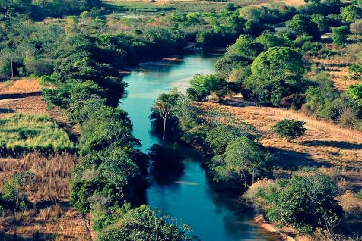 Dia Do Cerrado Comemorado Em De Setembro Folha Vit Ria