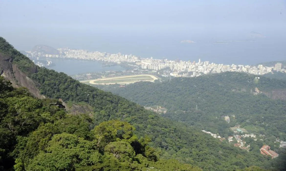 Remanescente Da Mata Atl Ntica Da Capital Tem Tombamento Provis Rio