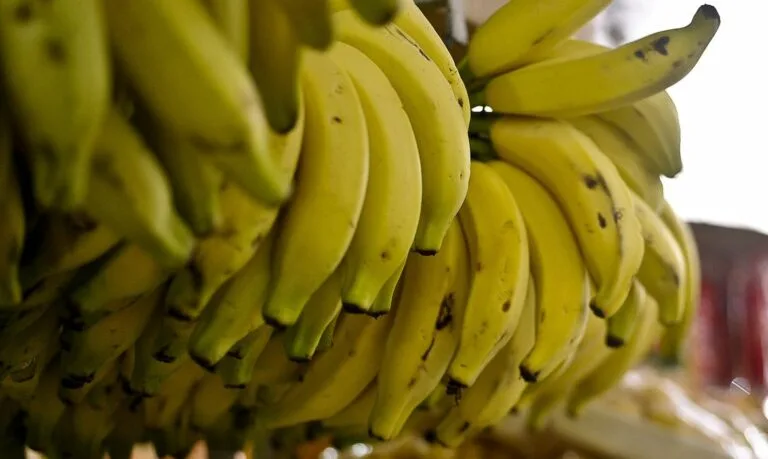 Tombo do doce de banana acontece neste domingo em Cariacica