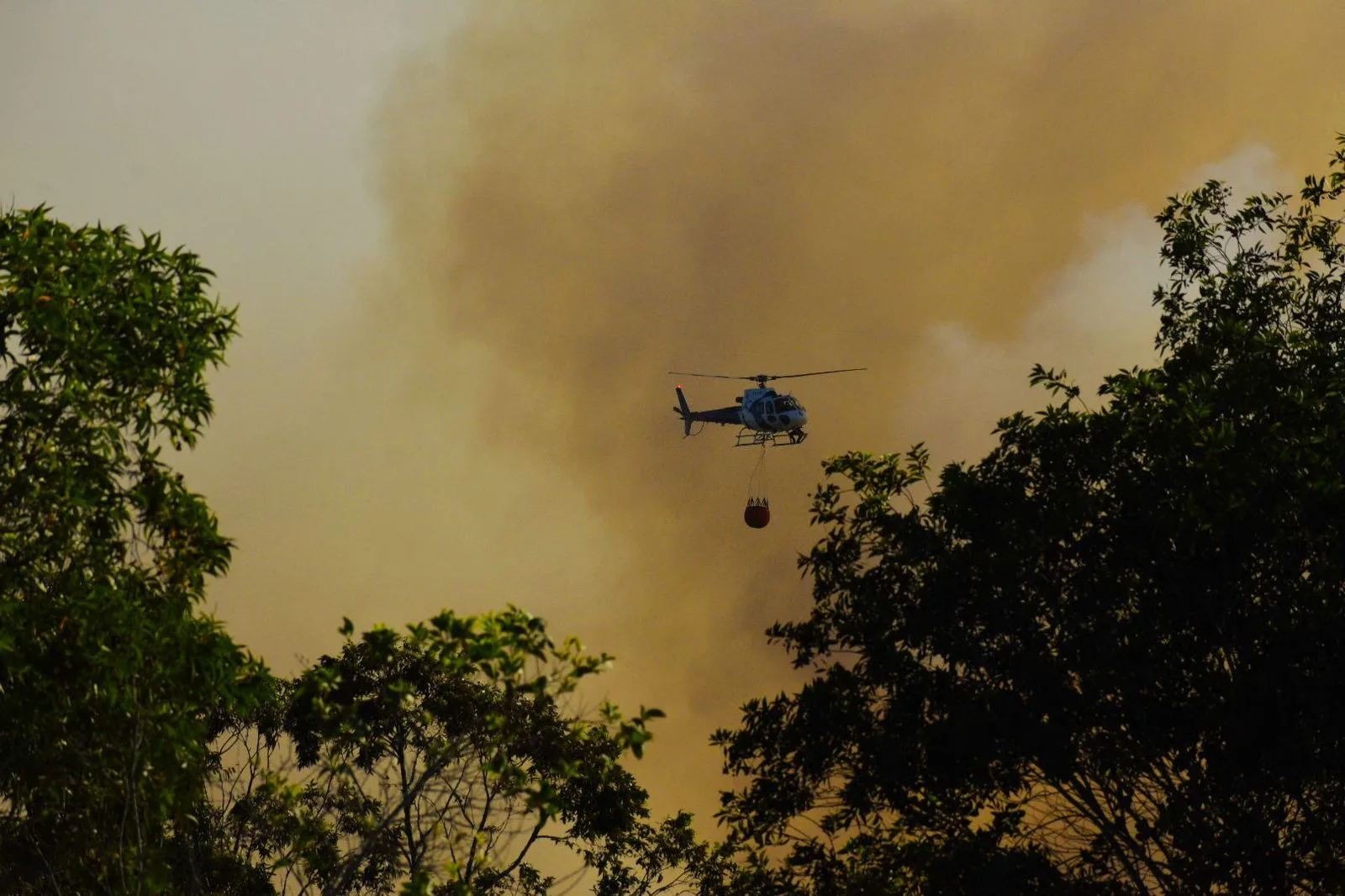 Incêndio em Guarapari: veja fotos e vídeos do trabalho dos bombeiros