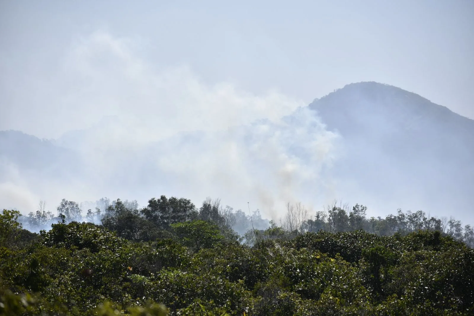 Fogo se alastra rápido em incêndio em Guarapari