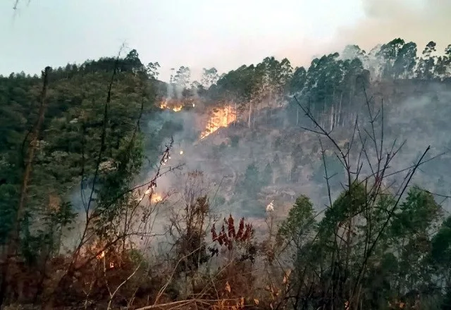 Suspeito de iniciar incêndio em Marechal Floriano é preso