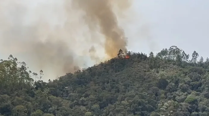 Incêndio em Marechal Floriano destruiu o equivalente a 10 campos de futebol