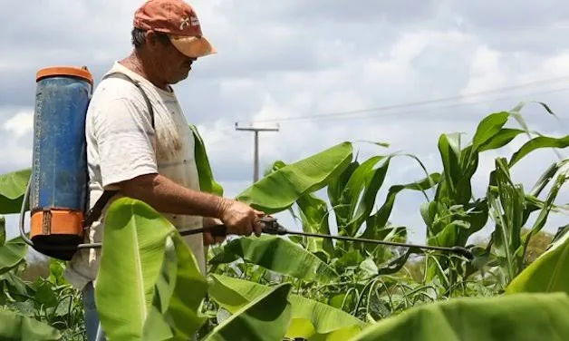 Rede vai ao Supremo contra liberação automática de agrotóxicos