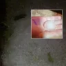 Chuva de granizo atinge distritos em município da Região Serrana do Espírito Santo