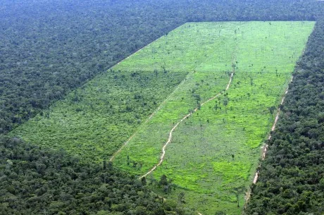 DES38 MARCELÂNDIA 31/01/2008 VIDA & 12H DESMATAMENTO AMAZÔNIA MATO GROSSO ESPECIAL DOMINICAL EMBARGADO Desmatamento recente em área de aproximadamente 2000 hectares em fazenda situada próxima ao município de Marcelândia (MT). FOTO: JF DIORIO/AE