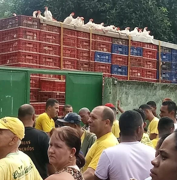 Para evitar morte de animais, produtores de aves vendem galinha a R$ 1 na Serra