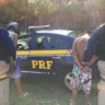 Após realizar manobras pela BR 262, dupla é detida com moto roubada em Viana