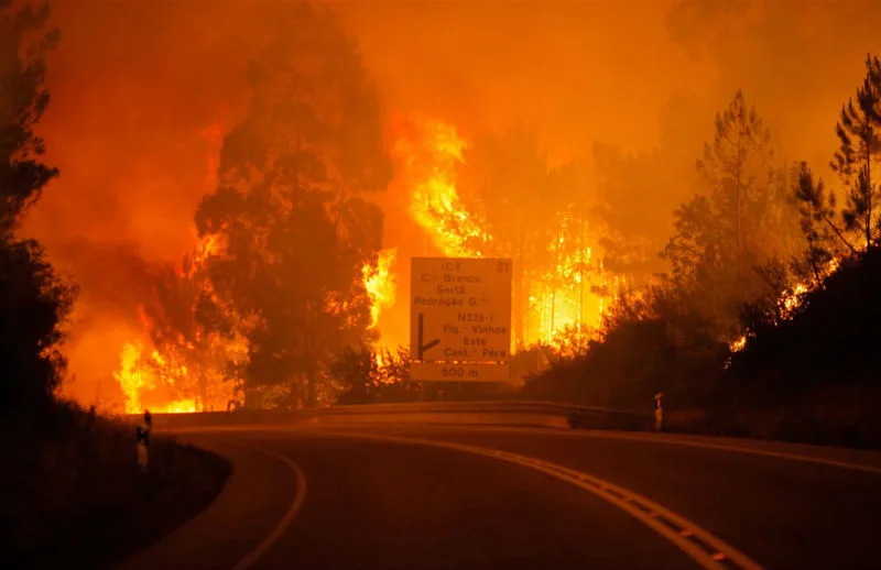 Incêndio florestal em Portugal mata mais de 60 pessoas