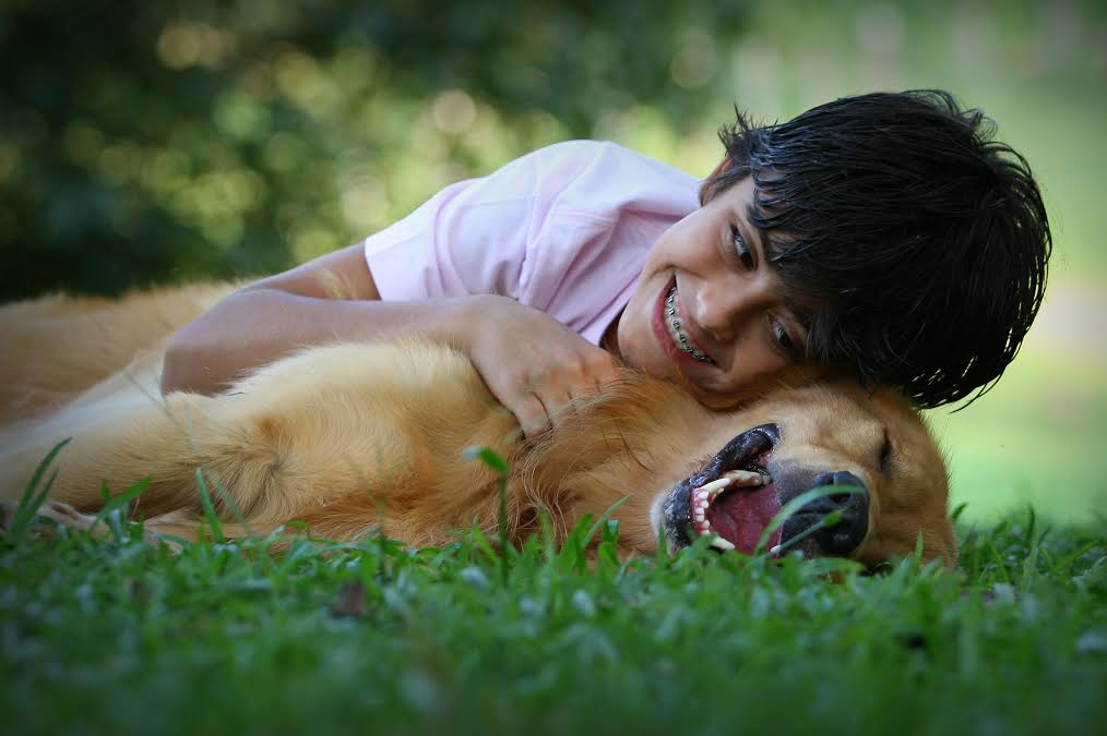 Troca de olhares explica afeto entre cães e humanos