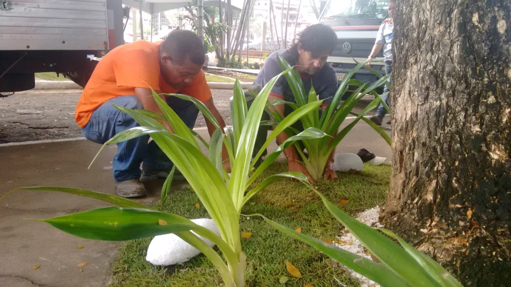 Canteiro na avenida principal do BNH recebe revitalização