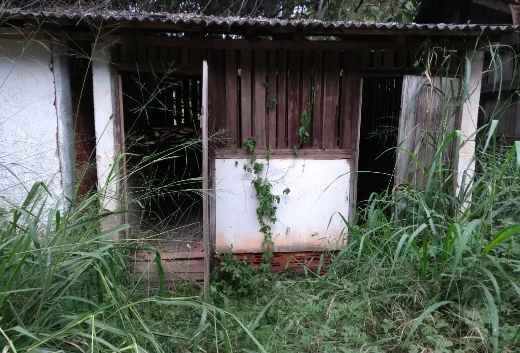 Fazendeiros do ES são mantidos em cativeiro em MG após serem atraídos por anúncio na internet