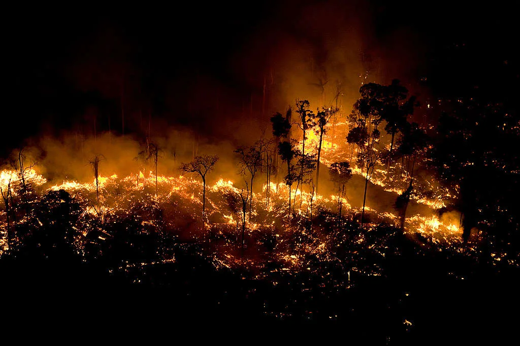 Man made forest fires to clear land for cattle or crops.