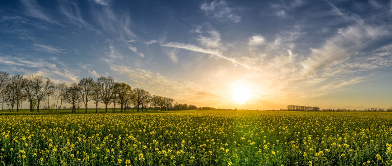 Sol predomina, mas pode haver chuva fraca nos próximos dias no ES