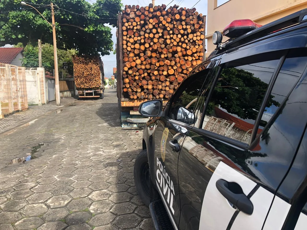 Polícia prende 15 pessoas em operação contra furto de madeira em Conceição da Barra