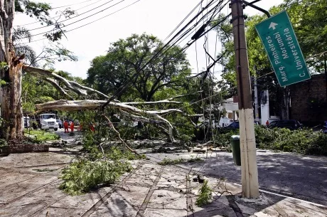 SCA3204 SÃO PAULO 29/12/2014 – METRÓPOLE – ÁRVORES TOMBADAS/RESCALDO TEMPORAL – Temporal na madrugada deixa estragos na zona sul onde muitas árvores cairam na região de Moema, Campo Belo e Ibirapuera, o Parque do Ibiarapuera fechou pos portões para o público após queda de árvores no prédio da administração, lanchonete do planetário e guarita do […]