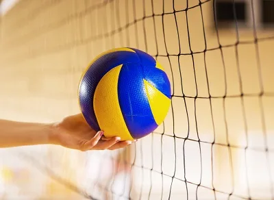 Volleyball on the net.