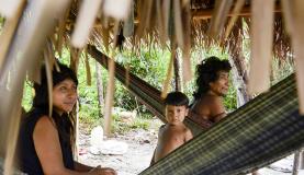 Awá-guajás estabelecem contato com índios isolados de reserva maranhense