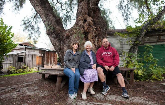 Família recusa oferta de US$ 7 milhões na venda de terreno para Google