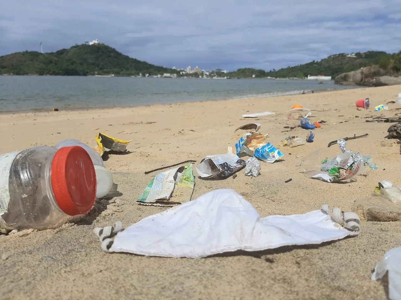 Descarte irregular de máscaras durante pandemia coloca animais marinhos em risco no ES