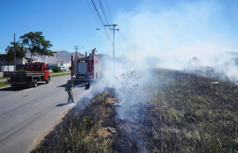 Incêndio às margens de avenida causa transtorno a motoristas e moradores da Serra