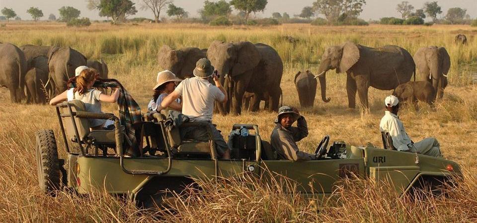 Diretor sul-africano é morto por girafa durante filmagem na África do Sul