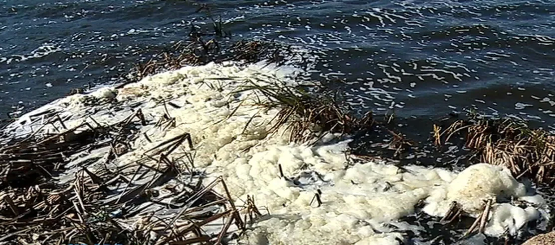 Um mês após morte de peixes, pescadores ainda aguardam análise de lagoa em Jacaraípe