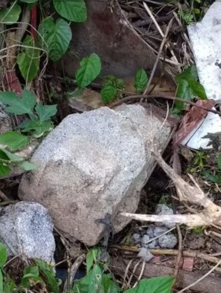 Quatro suspeitos de estupro coletivo em Guarapari são detidos