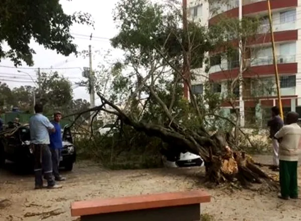 Ventos causam estragos no Espírito Santo