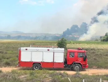 Incêndio de grandes proporções atinge área de restinga na Rodovia do Contorno, em Cariacica