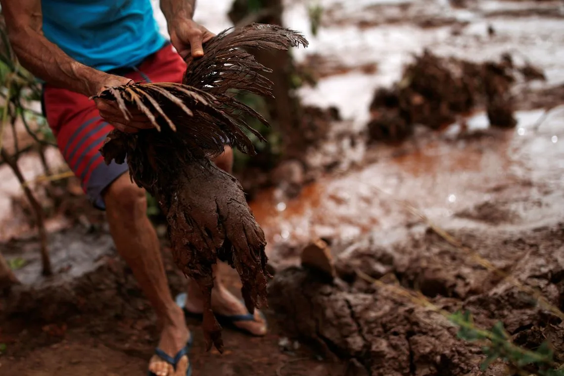 Foto: Reuters/Adriano Machado