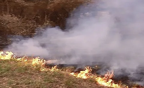 Incêndio volta a atingir área próxima ao Parque da Fonte Grande em Vitória