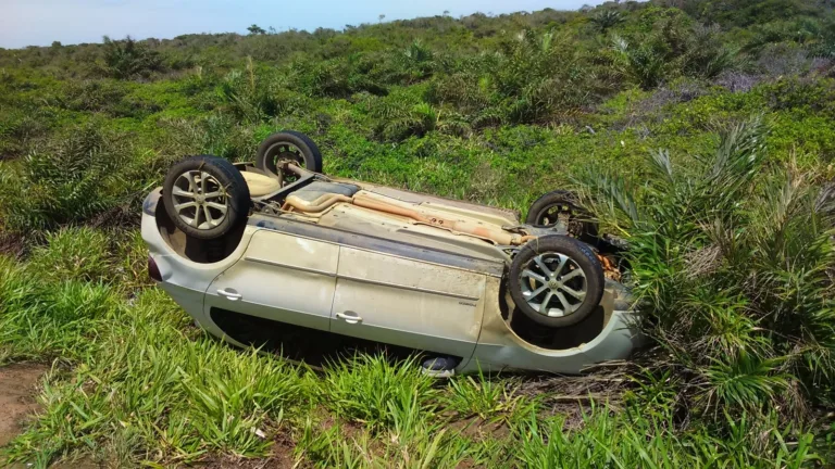 Comerciante capota veículo ao desviar de cachorro na Rodovia do Sol em Itapemirim