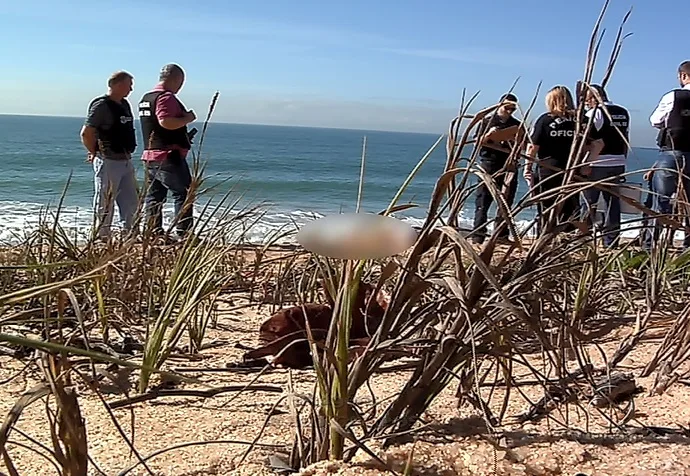 Corpo de homem sem roupa é encontrado boiando em praia de Vila Velha