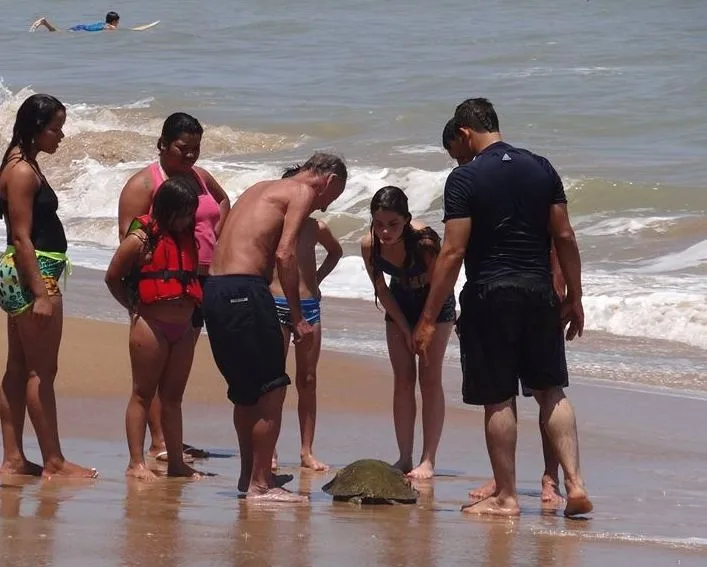 Tartaruga morta na praia de Marataízes chama a atenção de banhistas