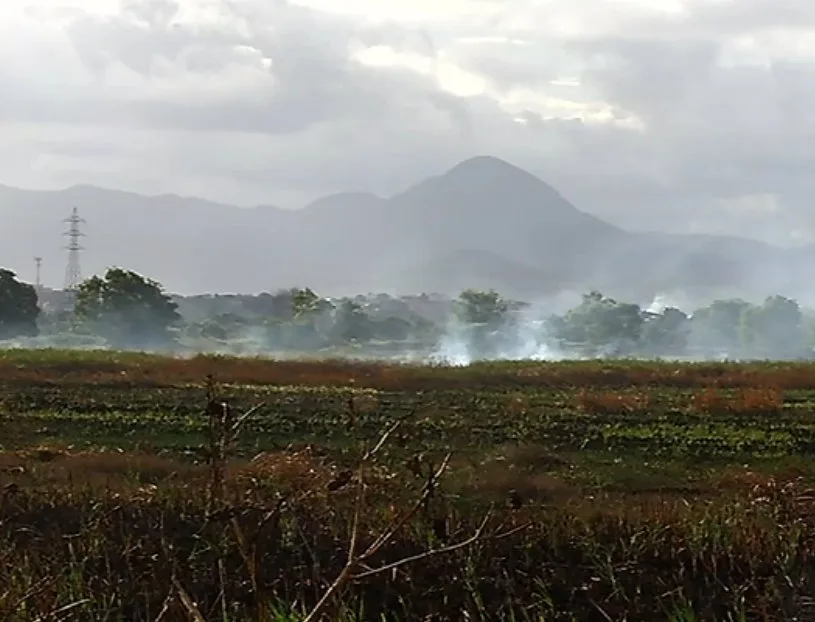 Bombeiros identificam origem de fumaça em Vila Velha e descartam fogo em turfa