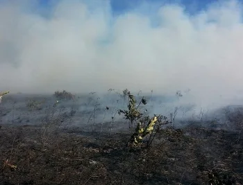 Relatório conclui que incêndio em parque de Guarapari queimou quase 600 hectares