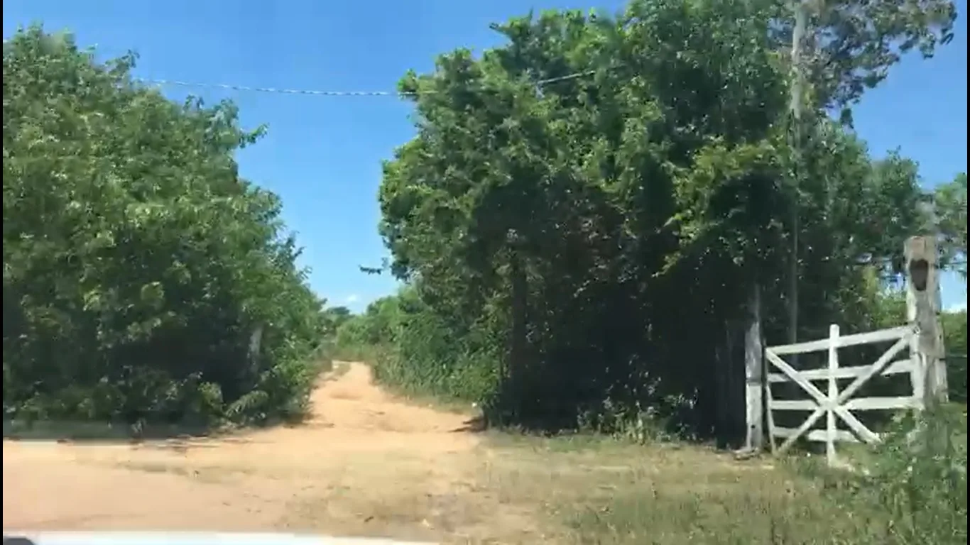 Criminosos sequestram enfermeiro e ateiam fogo em carro com vítima dentro em Vila Velha