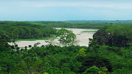 Aproveite o Dia de Proteção às Florestas e faça sua inscrição no Prêmio Ecologia