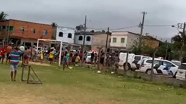 Égua é baleada durante abordagem da Polícia Militar em Cariacica