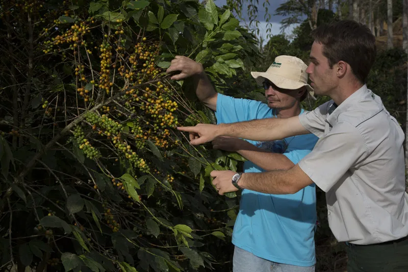 Crise hídrica reduz produção e agricultores mudam hábitos para enfrentar a seca no Estado