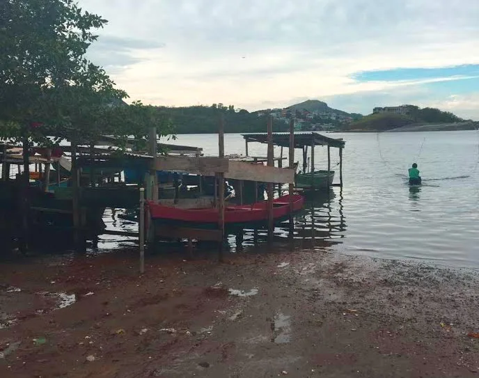 Corpo de homem é encontrado amarrado em árvore em Cariacica