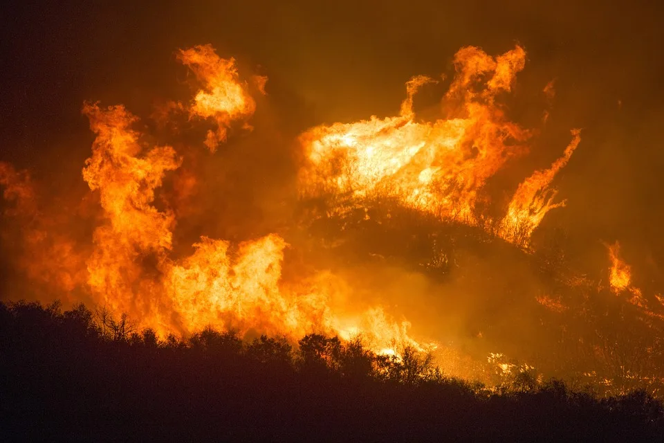 Número de mortos em incêndios florestais na Califórnia sobe para 19