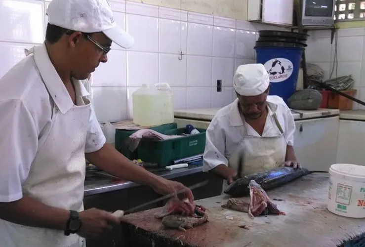 Veja a previsão do tempo e a cotação pescado para este fim de semana em Guarapari