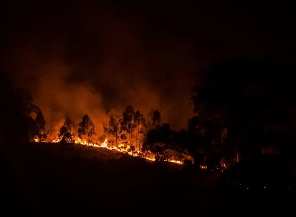 Incêndio atinge Horto Florestal em Ibatiba e causa apreensão entre os moradores