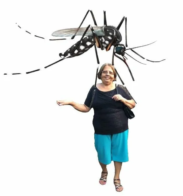 Em rede social, idosa faz crítica bem-humorada sobre infestação de mosquitos