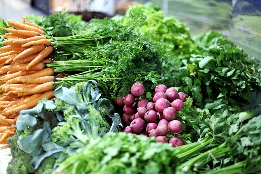 Nutricionista alerta sobre doenças que podem ser desenvolvidas pelo uso de agrotóxicos