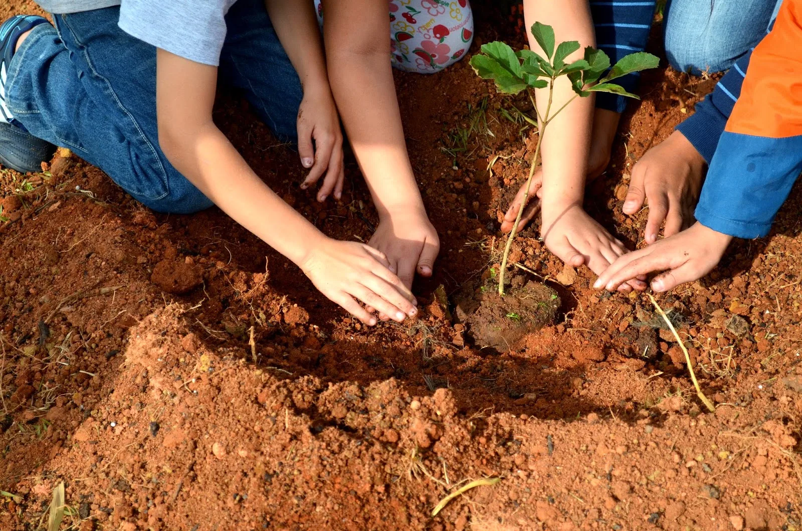 Cachoeiro segue com programação de conscientização ambiental