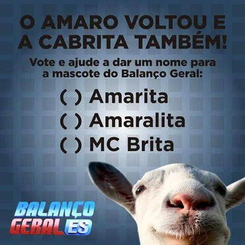 Amarita, Amaralita ou MC Brita? Nome da mascote do Balanço Geral ES será divulgado ao vivo nesta sexta