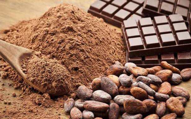 Dia do cacau: conheça os benefícios do fruto que dá origem ao chocolate